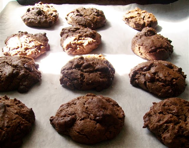 Double Chocolate-Ginger Cookies - Quirky Cooking