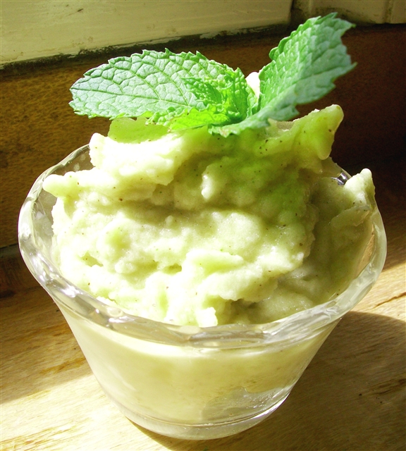 Lime, Kiwi Fruit & Mint Sorbet  -Quirky Cooking