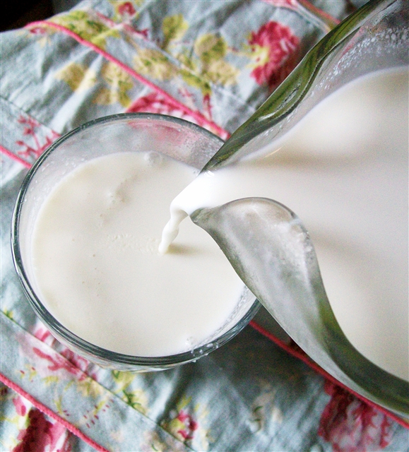 dairy free milk quirk cooking